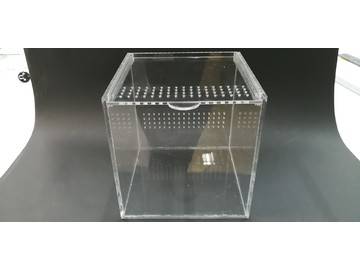 террариум для паучка